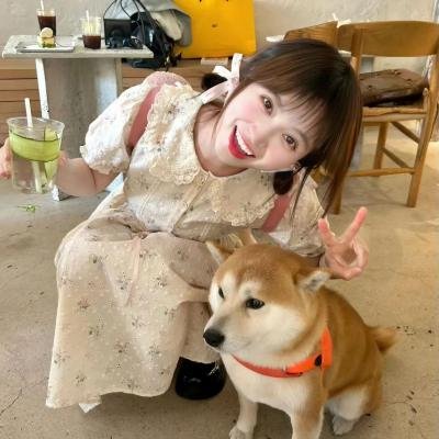 安娜贝尔回家啰