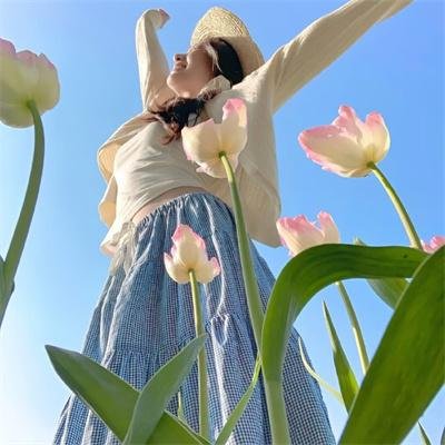 菩提树 在线观看